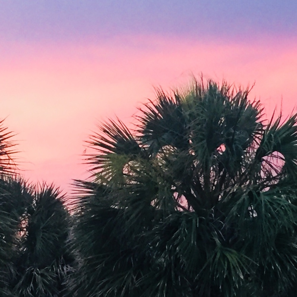 Meet your Posher, Ella